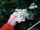 image_00048.jpg