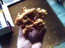 image_00059.jpg