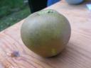 Appel 2