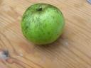 Appel 3
