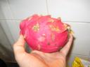 drakenfruit