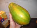 papaya