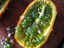 kiwano-doorsnede.JPG