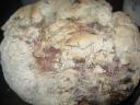brood
