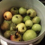 appels2