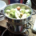 appels4