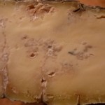 kaas 10 weken  met schimme'l