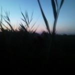 100821_060143
